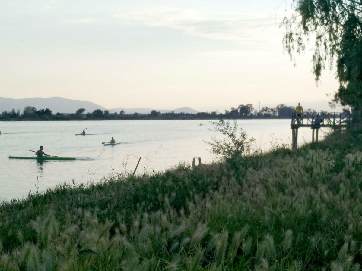 Mi Apartamento En El Delta Del Ebro+ Deltebre Dış mekan fotoğraf