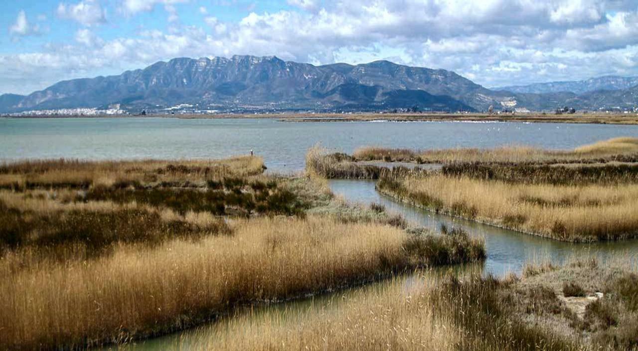 Mi Apartamento En El Delta Del Ebro+ Deltebre Dış mekan fotoğraf