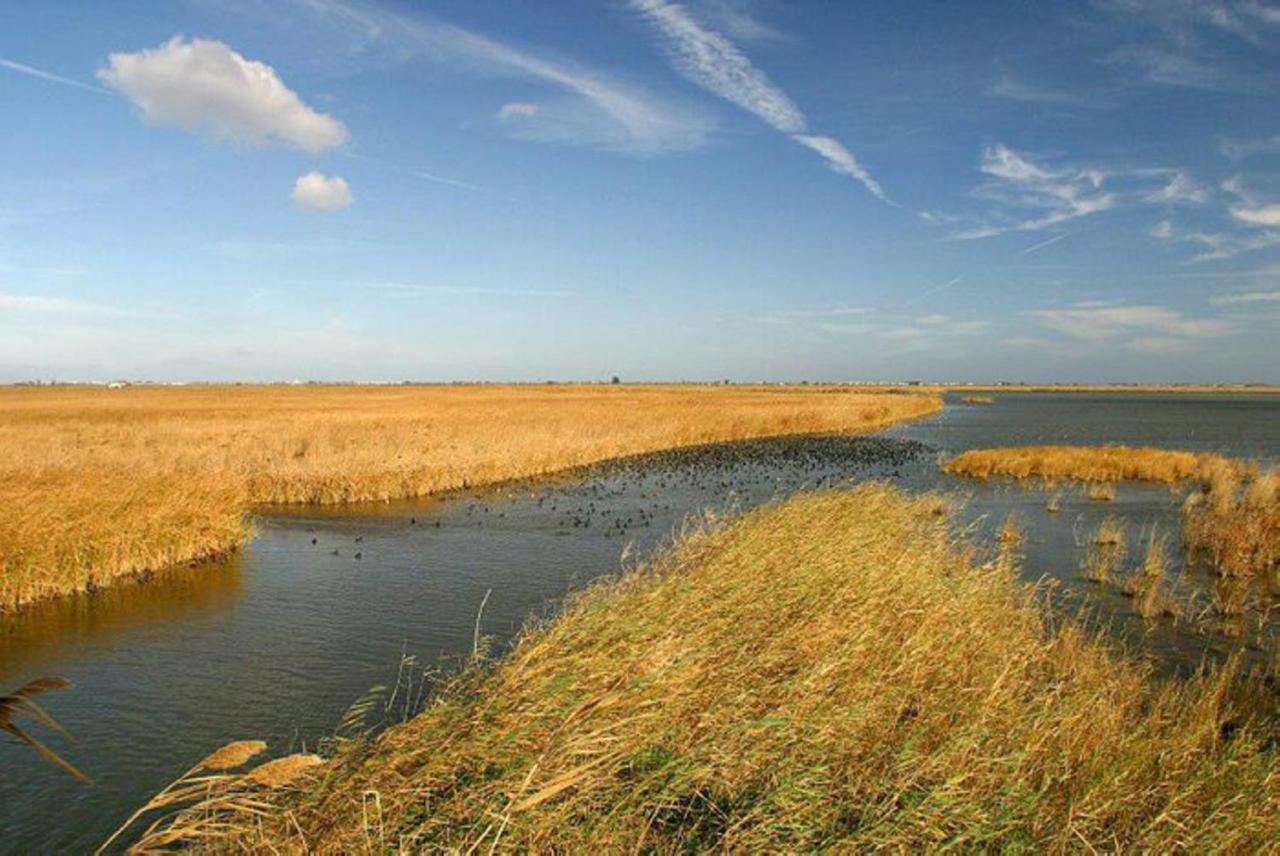 Mi Apartamento En El Delta Del Ebro+ Deltebre Dış mekan fotoğraf