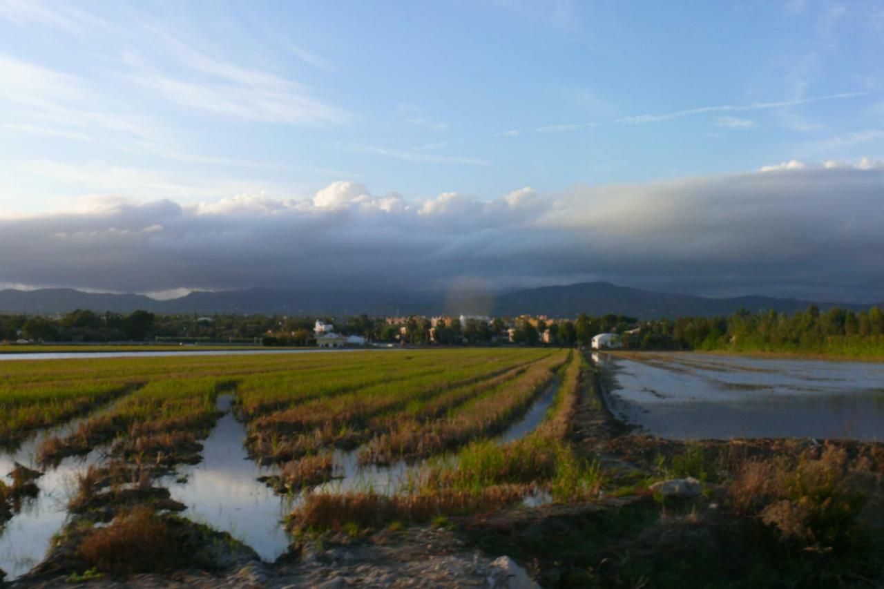 Mi Apartamento En El Delta Del Ebro+ Deltebre Dış mekan fotoğraf